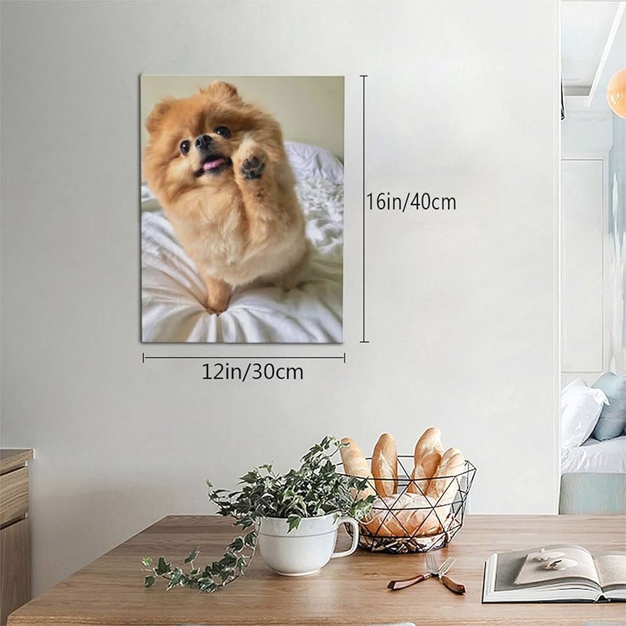 Amazon.co.jp: アートパネル 30×40cm ポメラニアン犬 モダン絵画 Arts