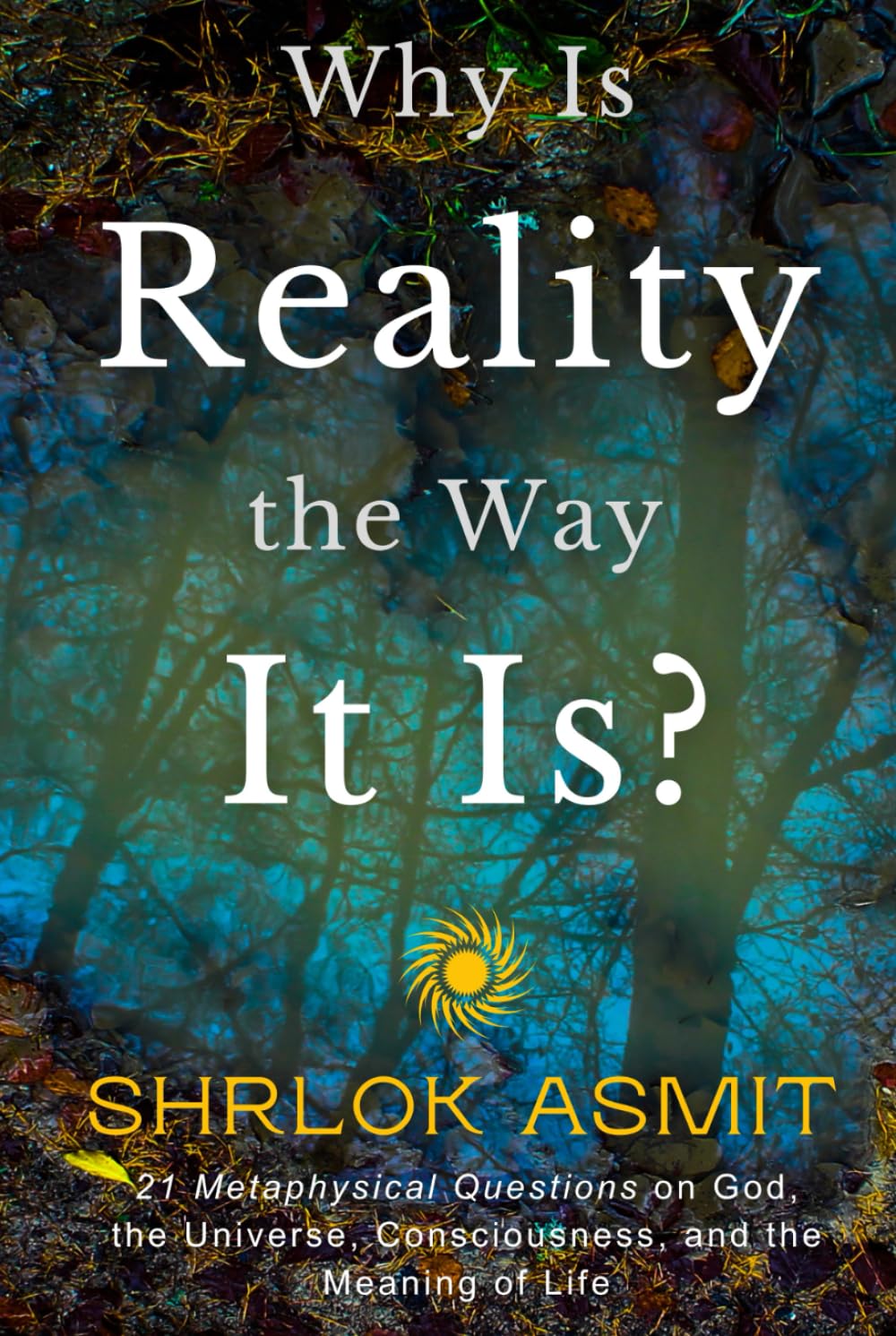 Why Is Reality the Way It Is?: 21 Metaphysical Questions on God, the Universe, Consciousness, and the Meaning of Life (The Reality of Existence Collection)