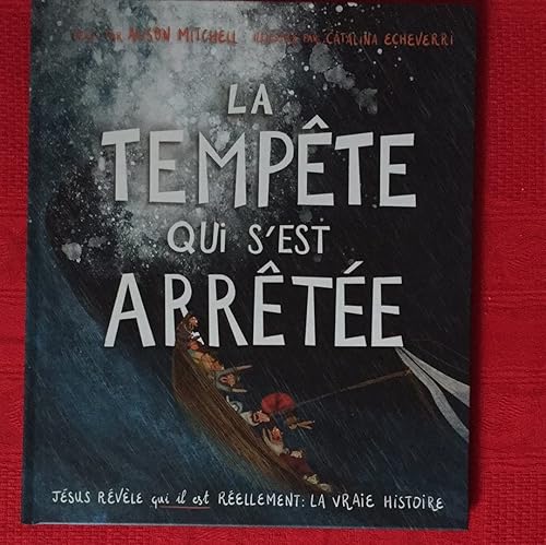La tempête qui s'est arrêtée. Jésus révèle qui il est réellement : la vraie histoire