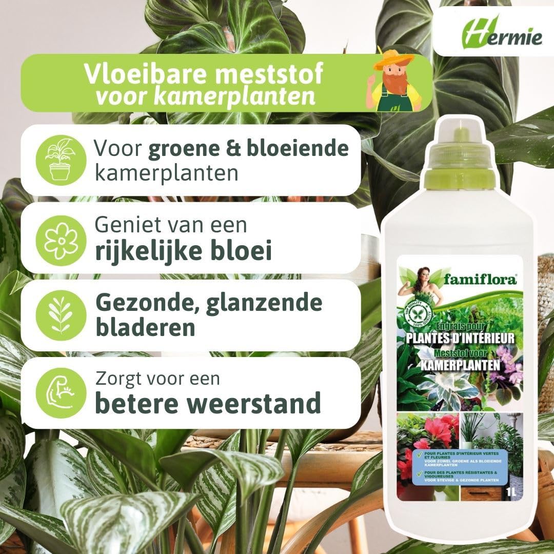 Engrais pour plantes d'intérieur 5L (5 x 1L) - Convient aux plantes vertes et à fleurs pour une jungle urbaine luxuriante - La floraison abondante garantit que vos plantes sont toujours sous