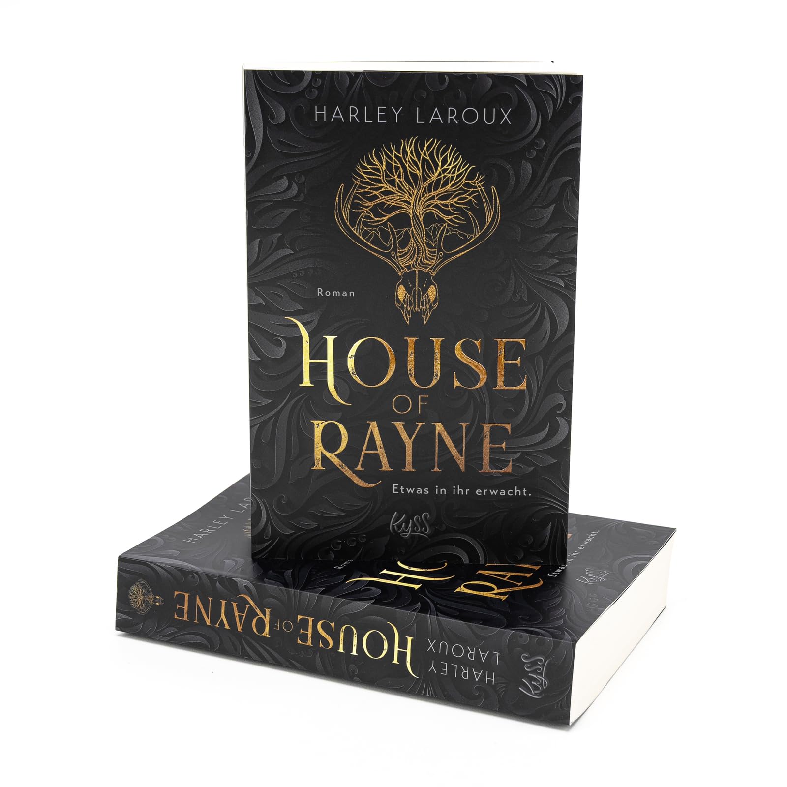 House of Rayne: Etwas in ihr erwacht.