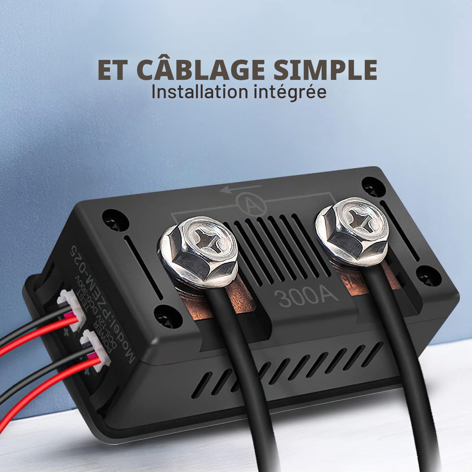 DC 300A Compteur Moniteur de Batterie, PZEM-025 Ampèremètre Voltmètre Numerique, Smart Shunt Puissance Wattmètre Ampéremètre pour batterie Voitures RV Système solaire Protection des circuits (300V)