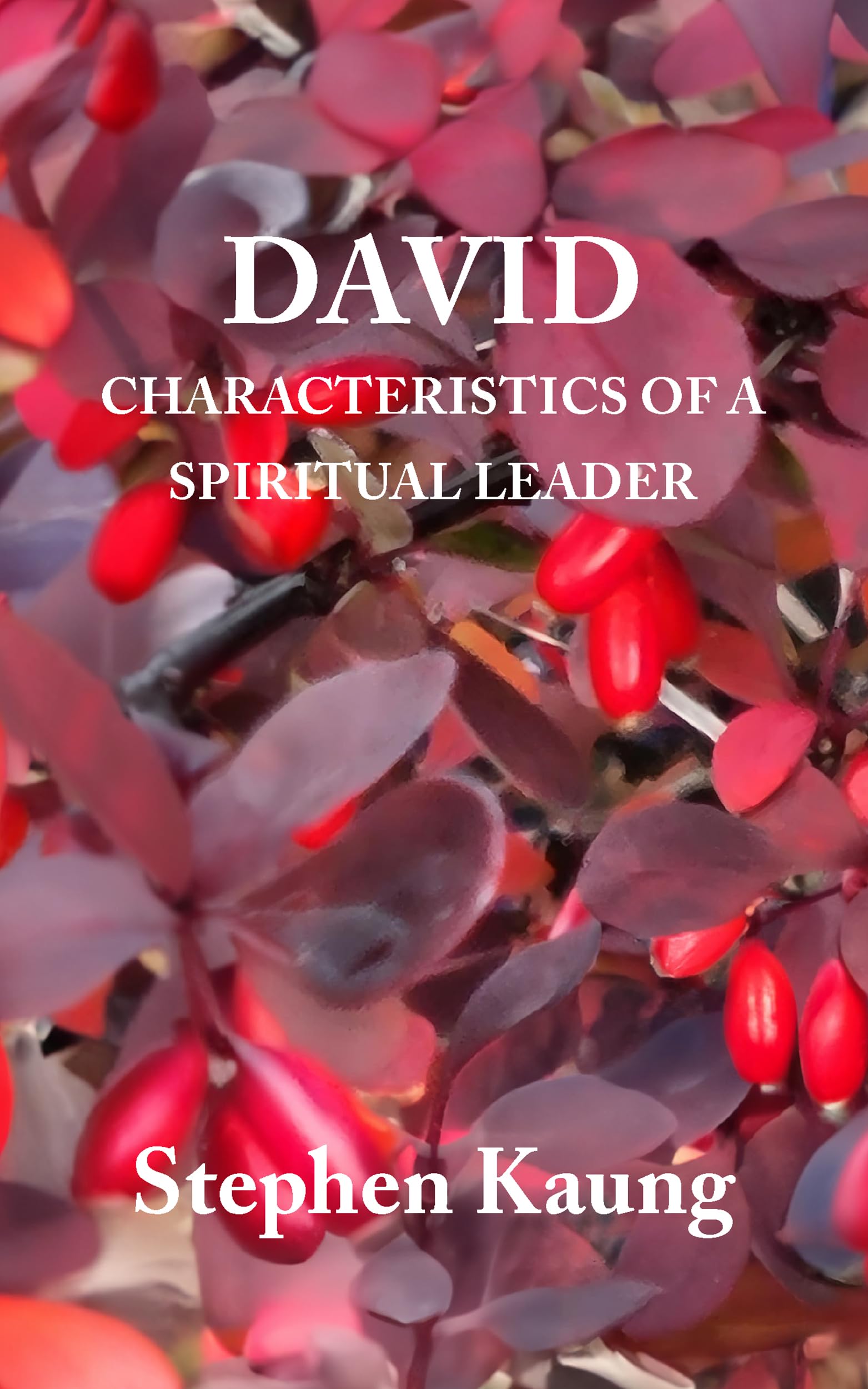 David: Characteristics of a Spiritual Leader