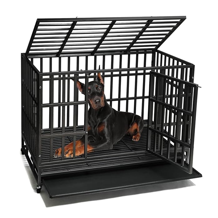 Buy SHUSHIM Enhanced Heavy Duty Dog Kennel Crate Cage with Strong Metal