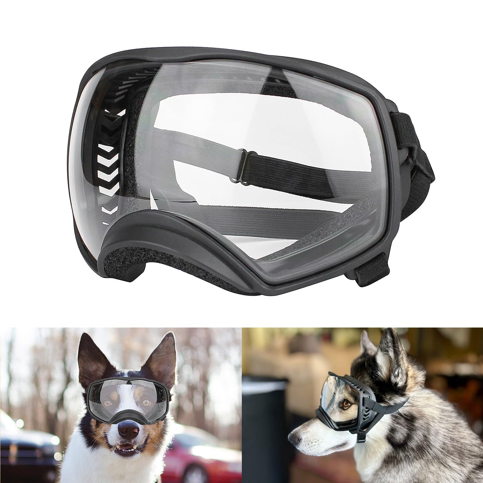 Enjoying Clear Dog Goggles