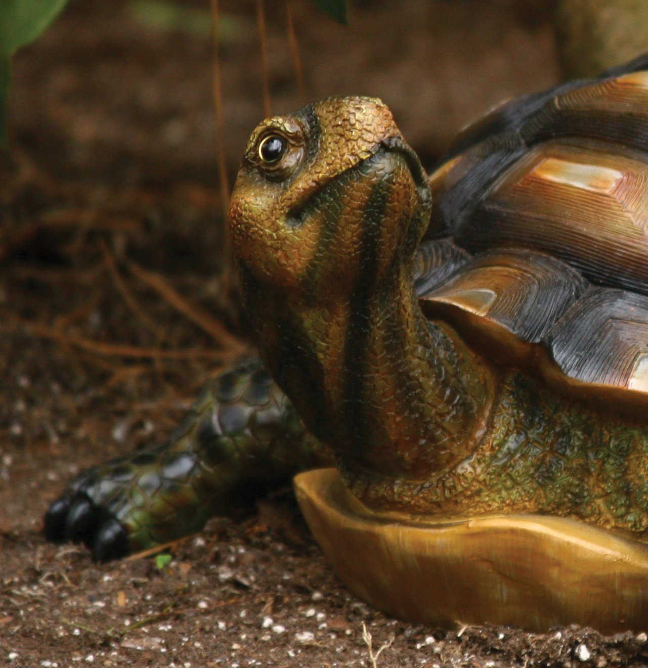 Amazon.com: Turtle L Orange Statue by Michael Carr Designs