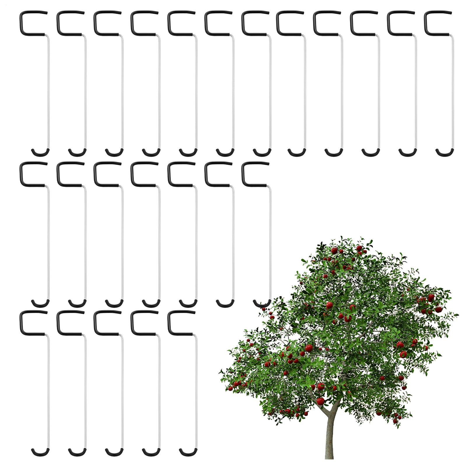Écarteur de branches pour taille pommier pêcher et oranger