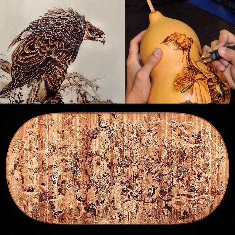 Wood Burning Machine Kit,Single Pen 110V 60W Premium Quality Pyrography Machine,Digital Temperature Control Wood Burning Detailer with 20 Tips for Wood/Leather/Gourd (Digital Temperature Display)