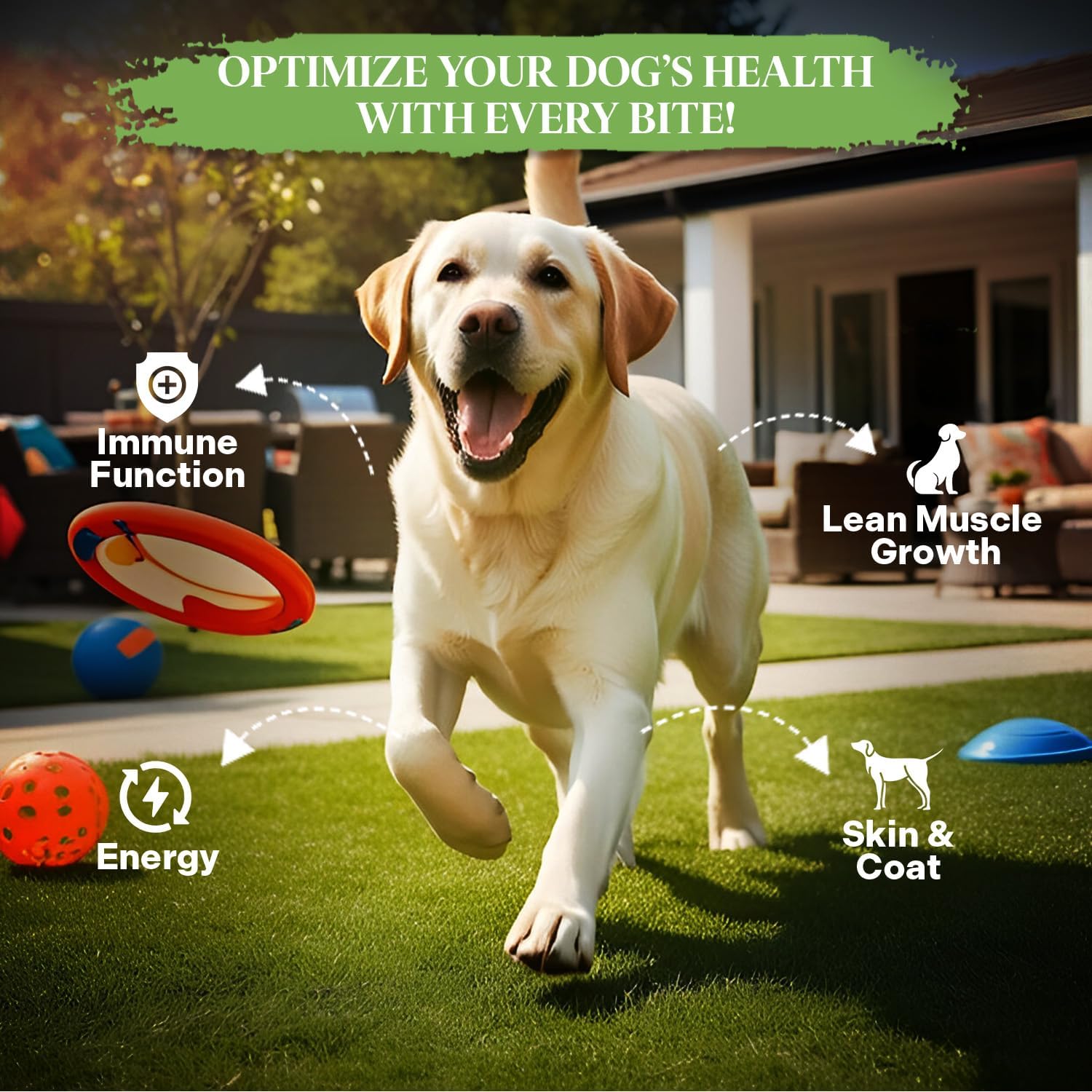 Healthy Dogma - PetMix Dehydrated Lamb Dog Food, Clean Ingredient Food - No Preservatives, Homemade Dog Food Lamb Dinner (2 lbs)
