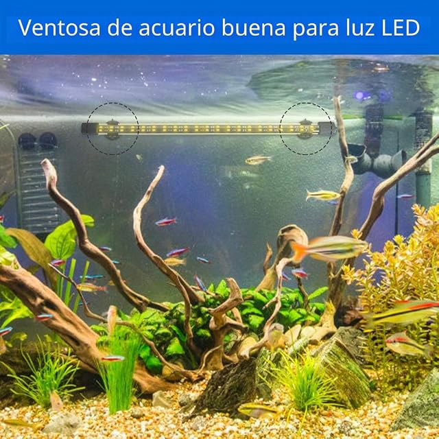Foto 4 de 7 de 24Pcs Ventosas para Acuarios, 24mm Clip Calentador Ventosa