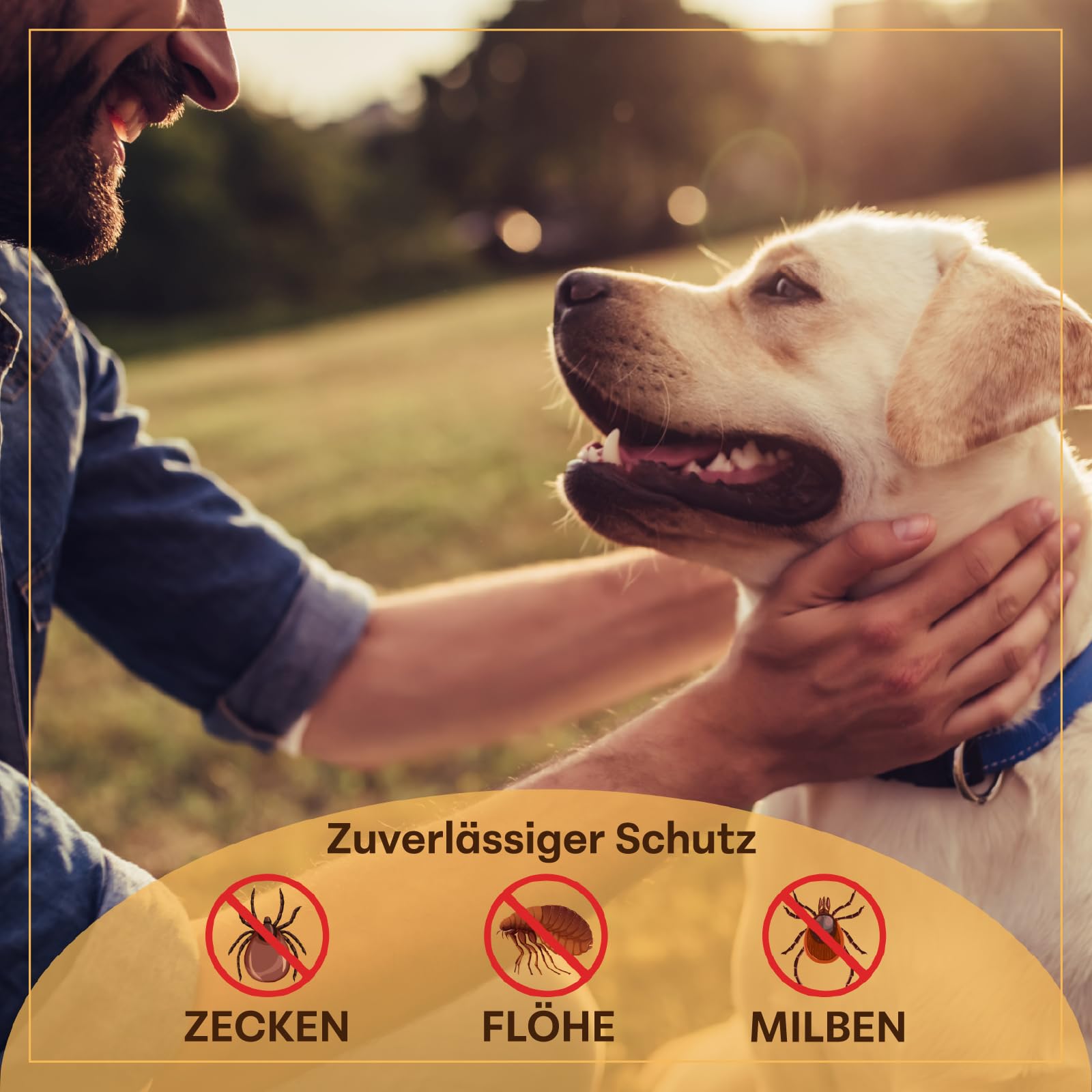 X1 Zecken-, Floh- & Milbenschutz Hund Spot-On 250 ml – Geruchlos, ohne Teebaumöl – Natürlicher Schutz mit Margosa & Kokosöl – Wasserfest & sparsam – Made in Germany – für alle Hunderassen