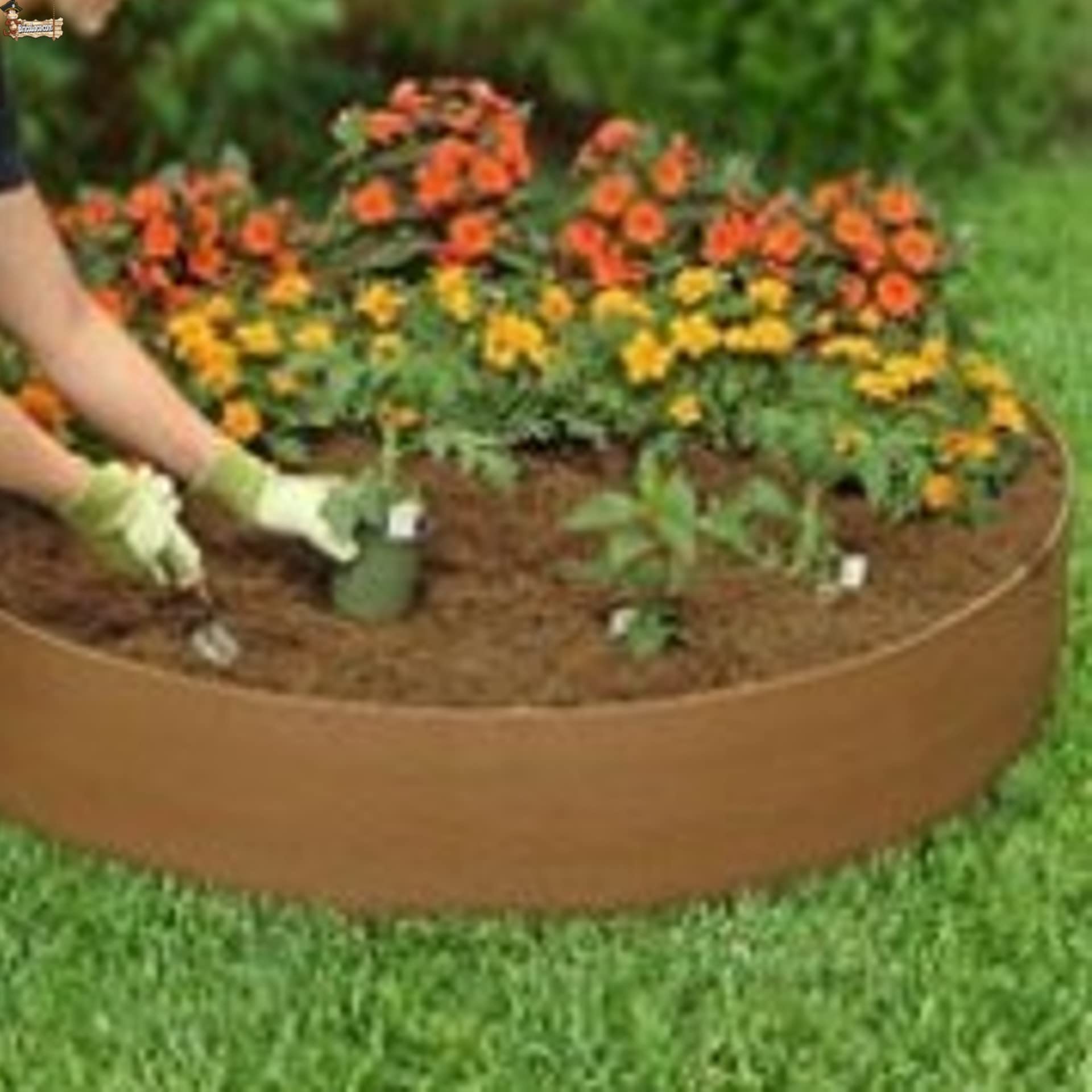 BricoLoco.com Humus de lombriz líquido ¡¡¡ Pack 3 litros !!! (3X1 LTS) Abono Fertilizante huerto, Plantas. Apto para Agricultura ecológica. Mejora fertilidad del Suelo, aporta Materia orgánica. (3)