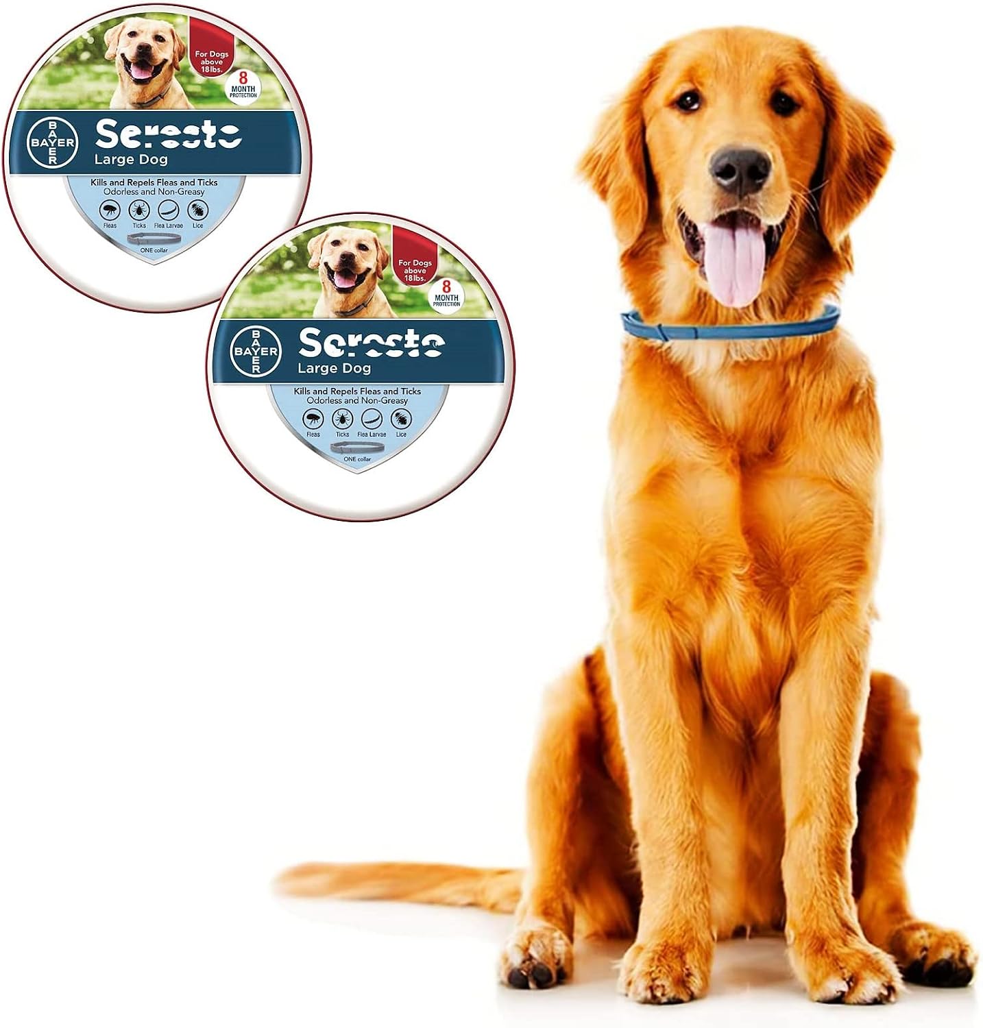 2 Pack Collar for Dogs, 8 Month Collar for Large Dogs Over 18 Pounds