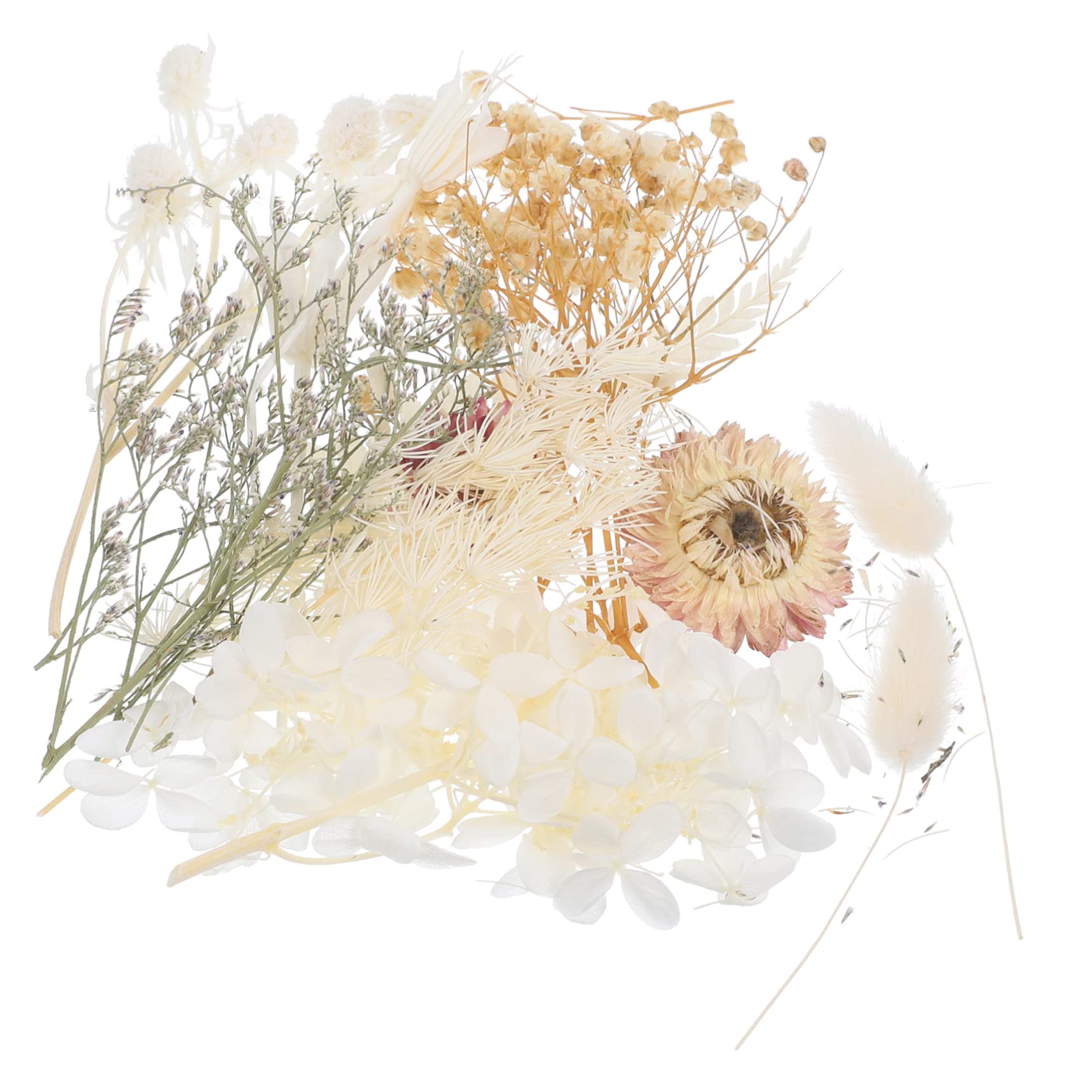PRETYZOOM 3 Set L'immortalità Dei Fiori Secchi Fiori Secchi Per Nail Art Fiori in Rilievo Fiore Essiccato Fai Da Te Fiore Fai Da Te Pressato Multiplo Boho ， Bianca