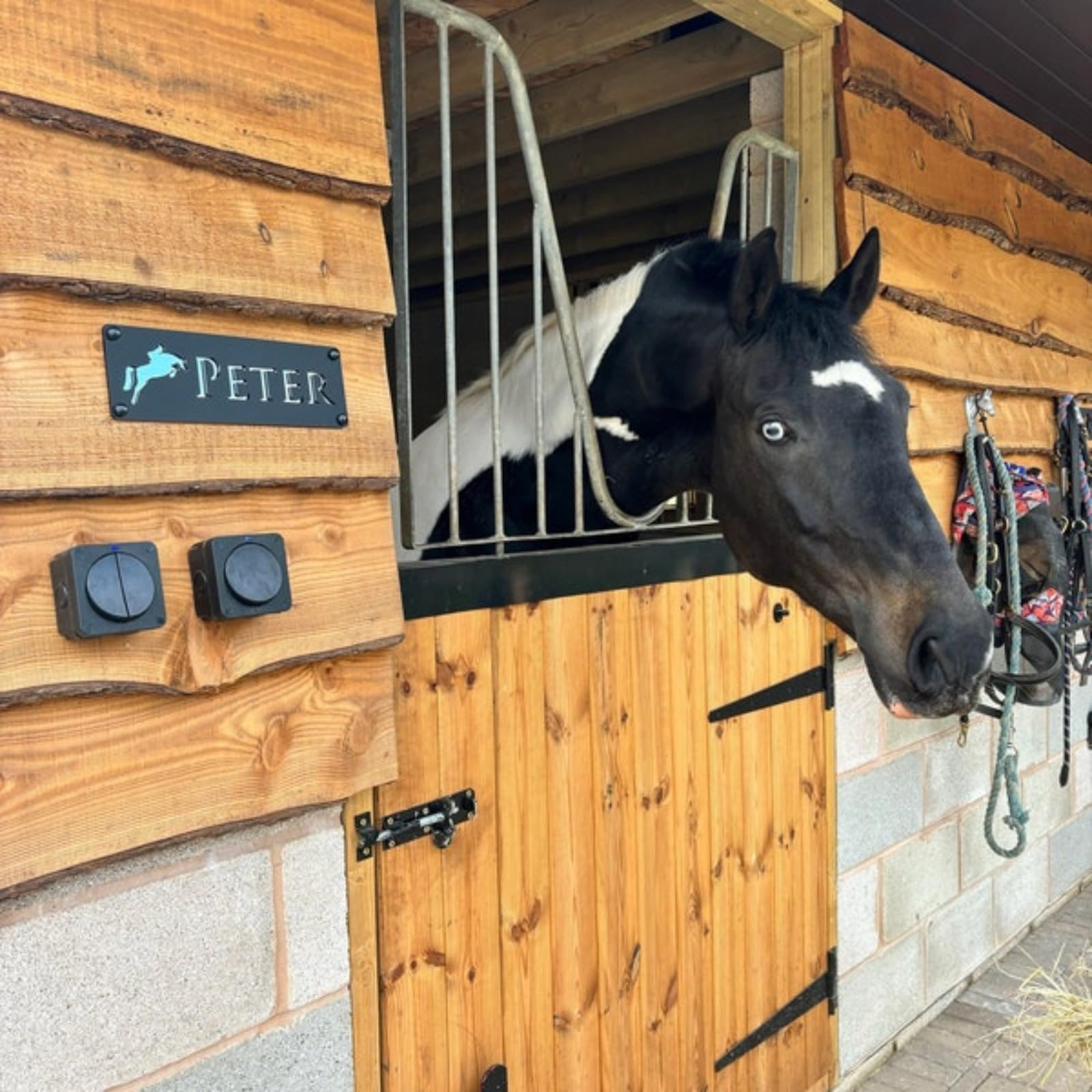 Pancarte nom chevaux box en bois avec prénom cheval en doré | Atelier58E