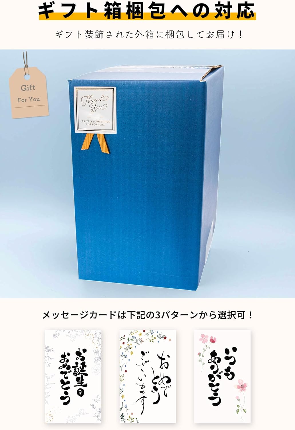 ガジュマル (多幸の木/金のなる木) 観葉植物