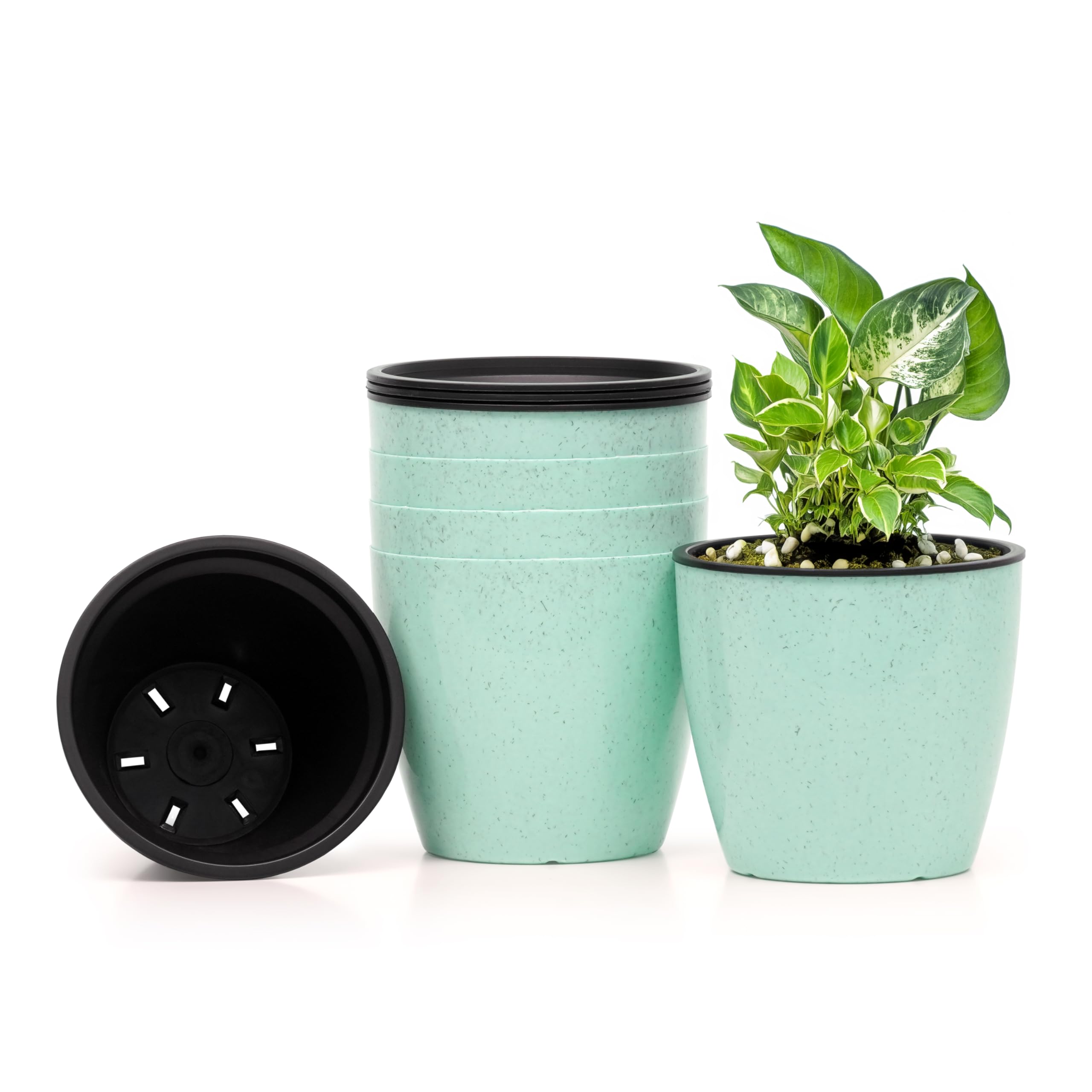 Livzing 6 inch Self Watering Flower Pot with Drain Holes Gamla Gardening Plant Pots for Home Decor Plastic Planters for Indoor Outdoor Plant Container Set Balcony-Terrace (Pack of 5, Green Dot)
