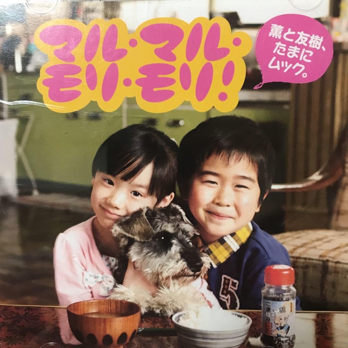 Amazon.co.jp: マル・マル・モリ・モリ ★ DVDのみ ★ 薫と友樹、たまにムック。 : おもちゃ