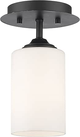 Z-Lite 1 Light Flush Mount 435F1-BRZ