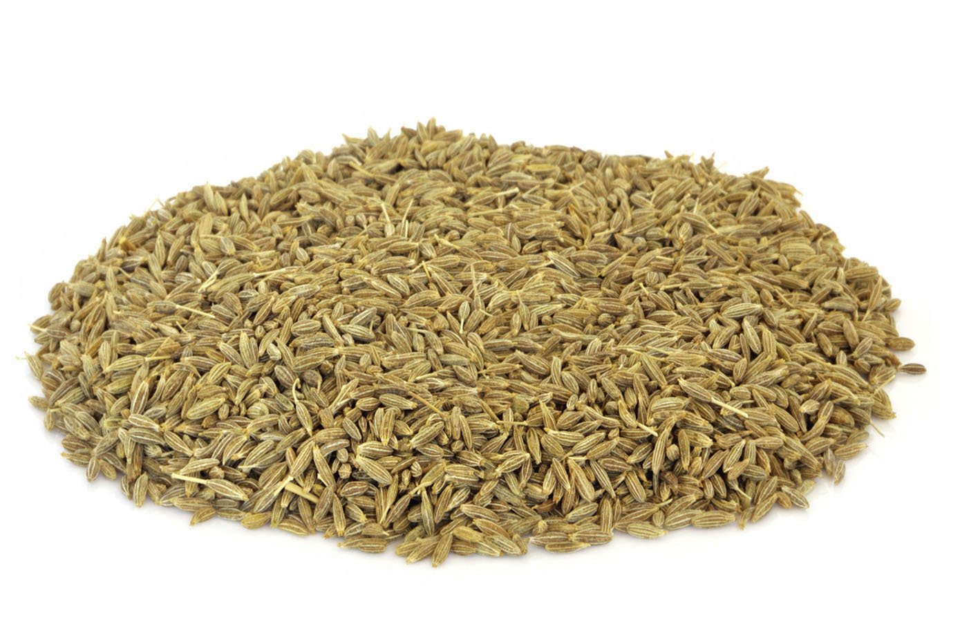 Comino materno molido (12,5 kg)