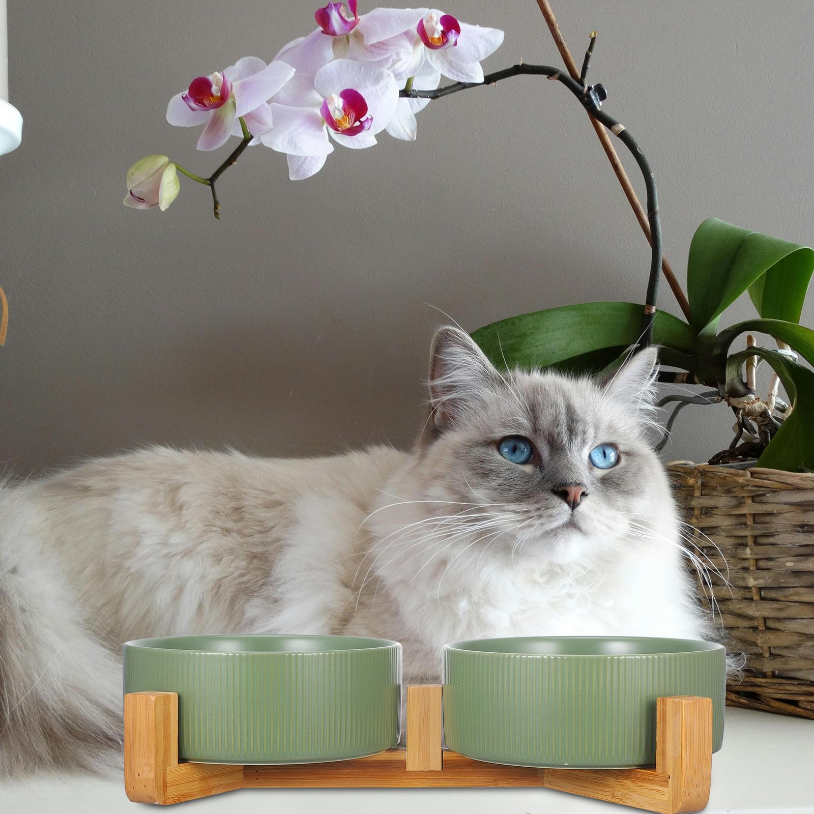 Ciotole per Cani Rialzate in Ceramica con Supporto in Legno, Doppia Ciotola Rotonda, Anti-ribaltamento, per Cibo e Acqua, Uso Domestico, per Cani e Gatti