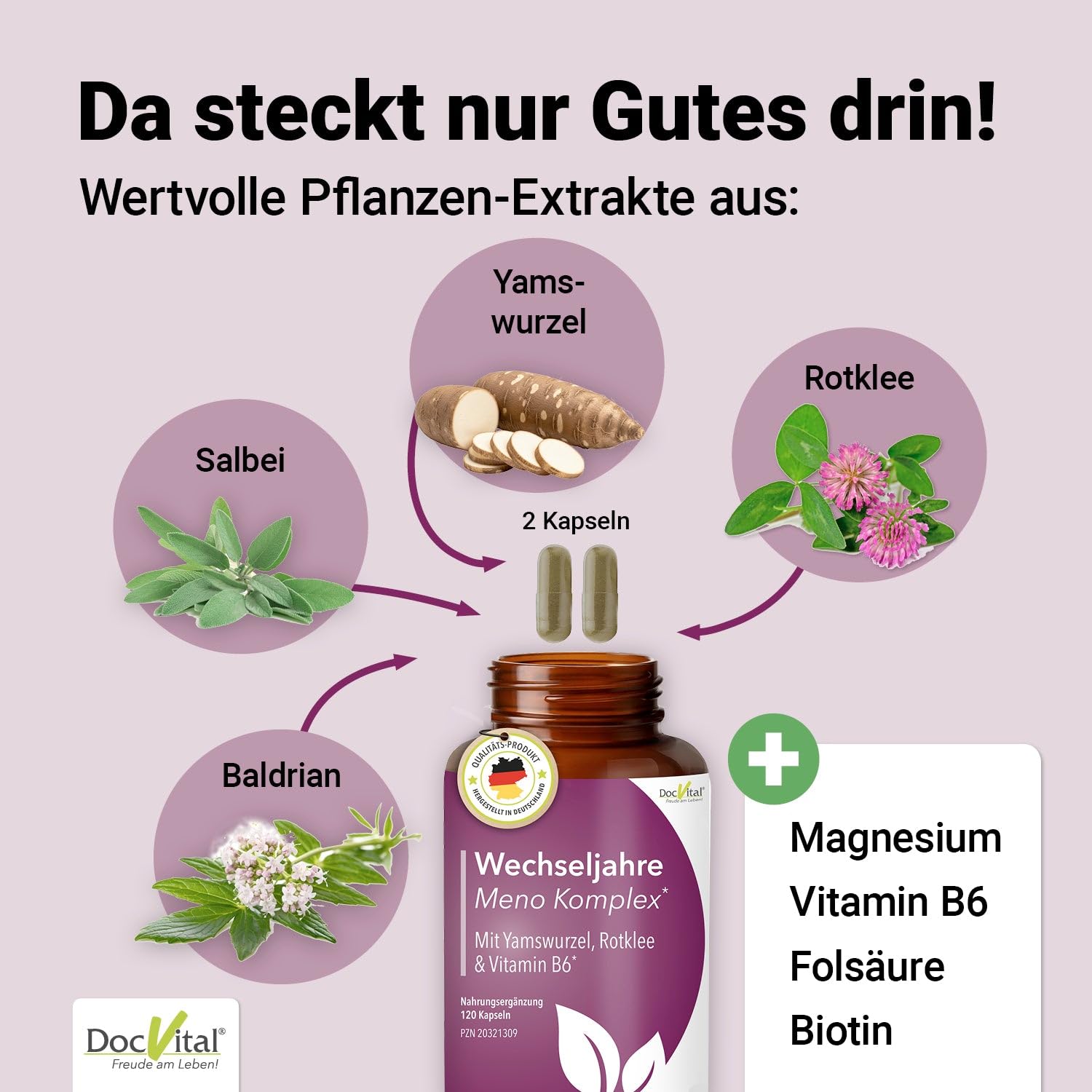 2 Packungen Wechseljahre Komplex, 120 Kapseln, Yamswurzel & Rotklee