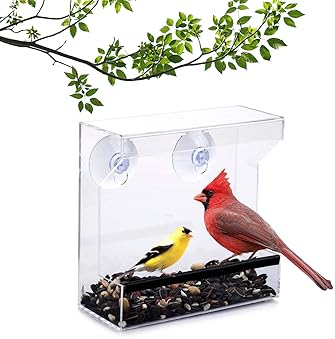 Explore Clear Bird Feeders For Windows Amazon Com