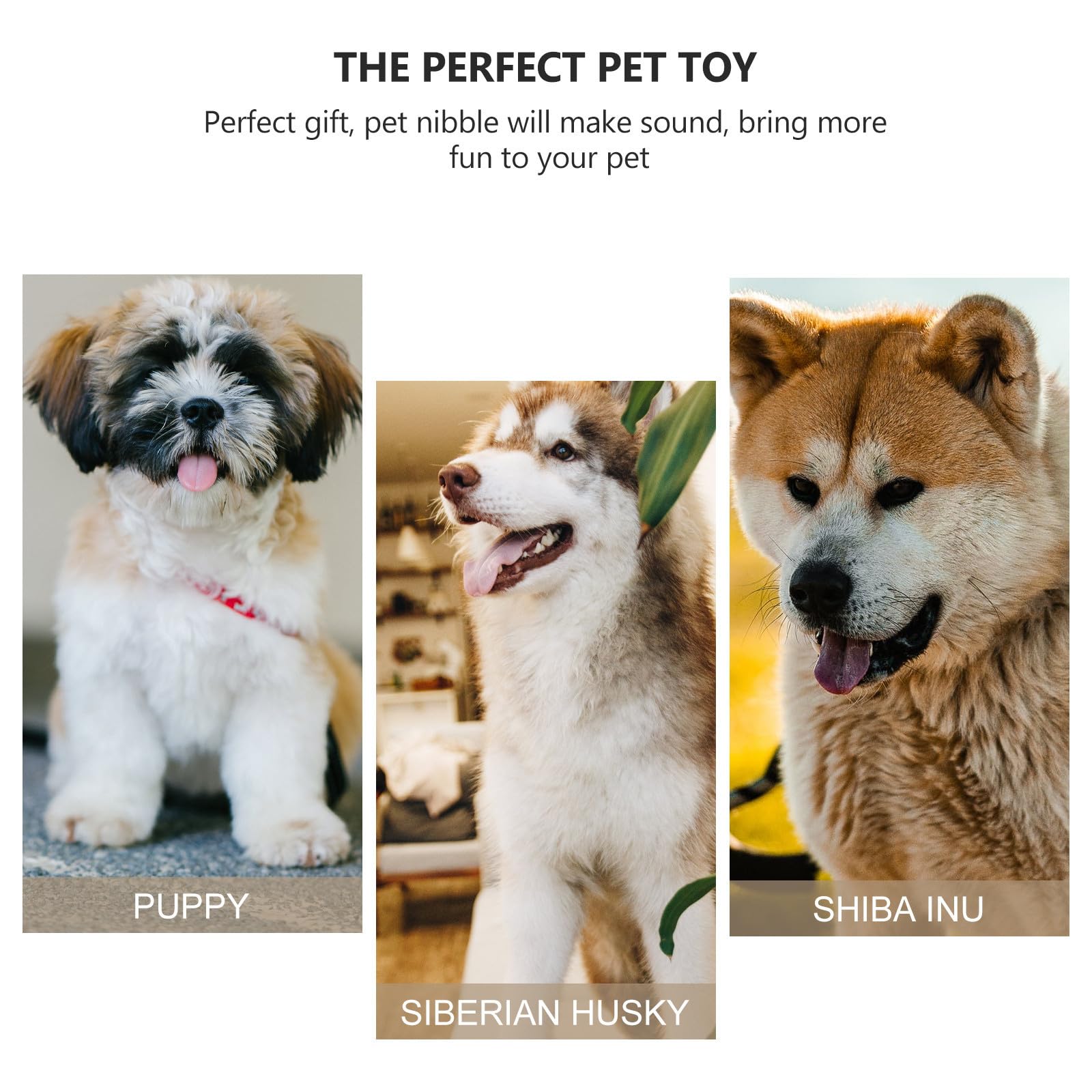 GALPADA Jouets en Peluche Interactifs Favorisant Le Développement Musculaire Mâchoire Mastication pour Chien d'animaux Lot de 4 Adaptés à L'activité Cache-Cache