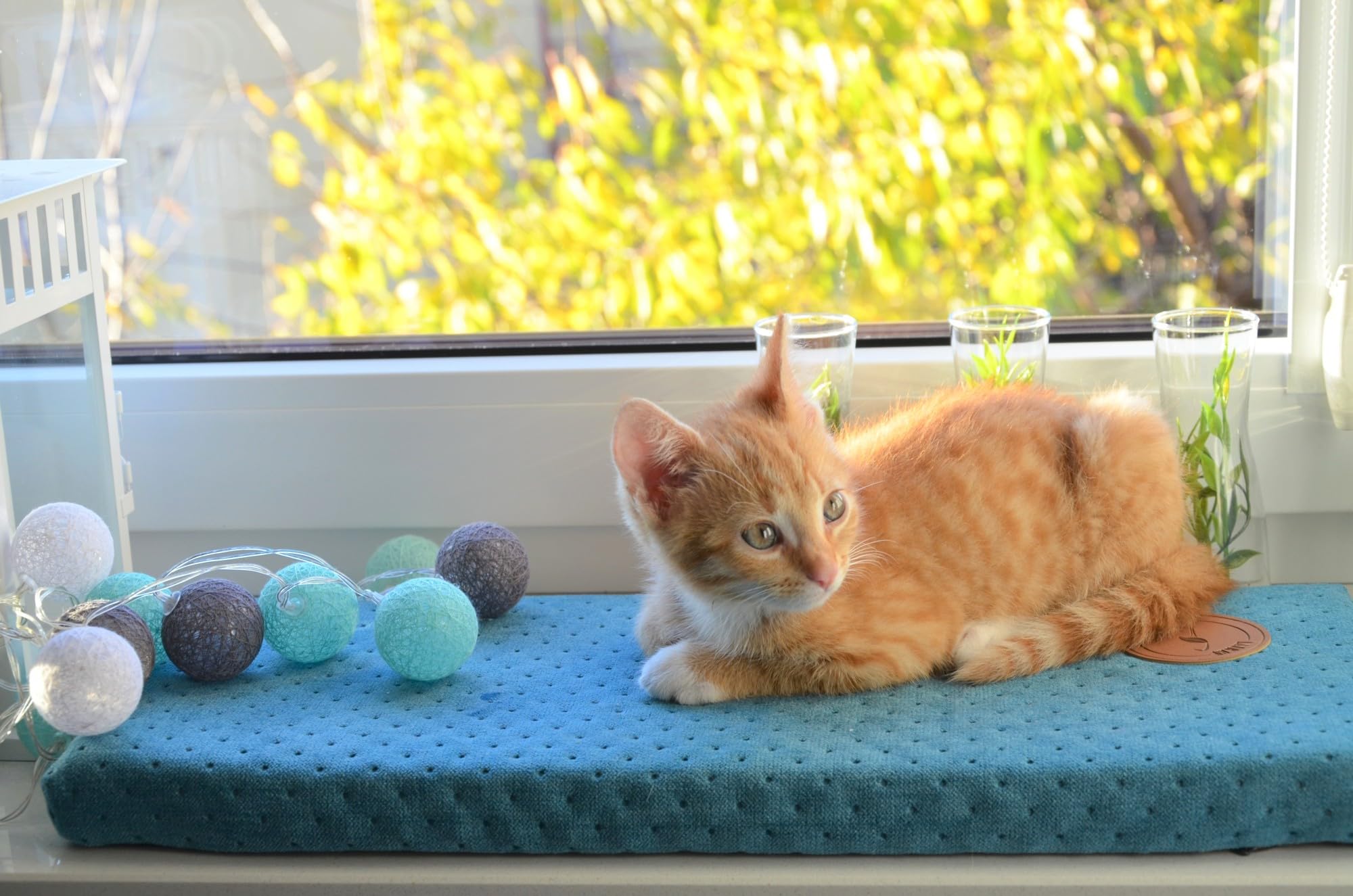 Prime Cat Window Lounger for Cats, Windowsill with a Non-Slip Backing, Cat Bed Window Sill, 50 cm x 20 cm, Made in European Union (Turquoise, 50 x 20 x 3 cm) โ image 1