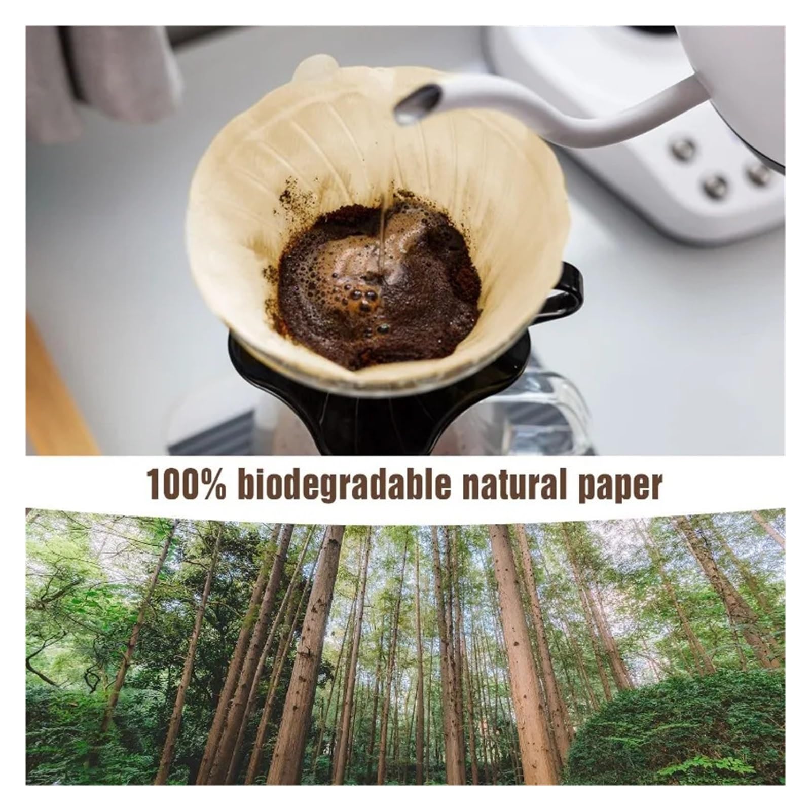 Carta Da Filtro For Caffè, Compatibile Con Generico, 8-12 Tazze
