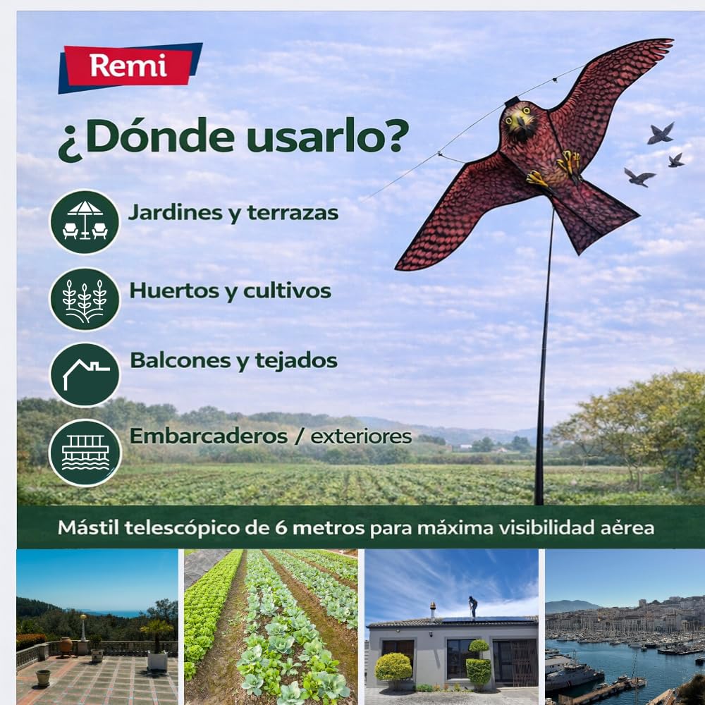Remi Hogar Cometa Espantapájaros Halcón 6 m con Mástil Telescópico Ahuyentador de Aves y Palomas para Huertos, Jardines y Cultivos | Repelente Visual Ecológico Exterior