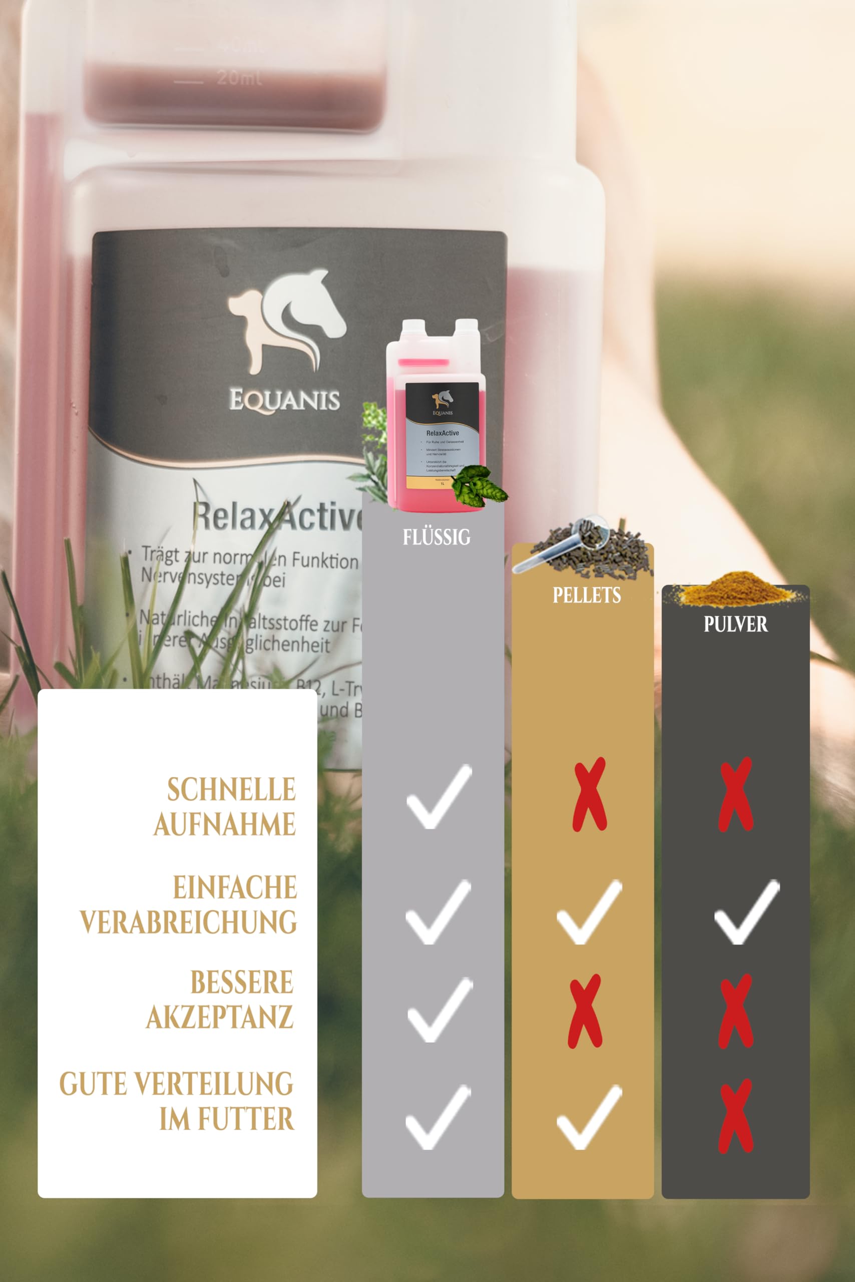 Derbymed Mobility Kaufen Derbymed Ergänzungsfuttermittel Für Pferde Bei Schermaschine Pferd