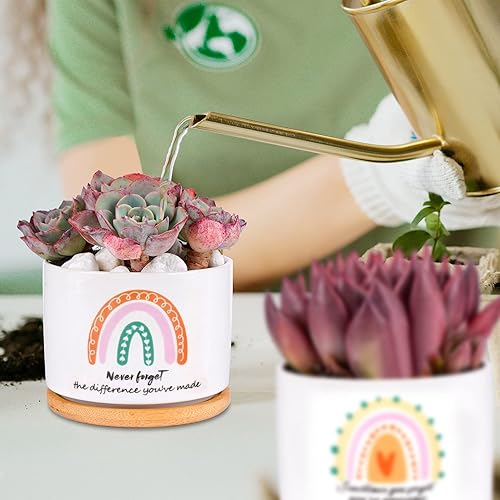 Miniatura 4 de SAIWEILAI - Juego de 9 macetas de cerámica para suculentas con bandejas de bambú, macetas redondas pintadas para decoración de escritorio interior,