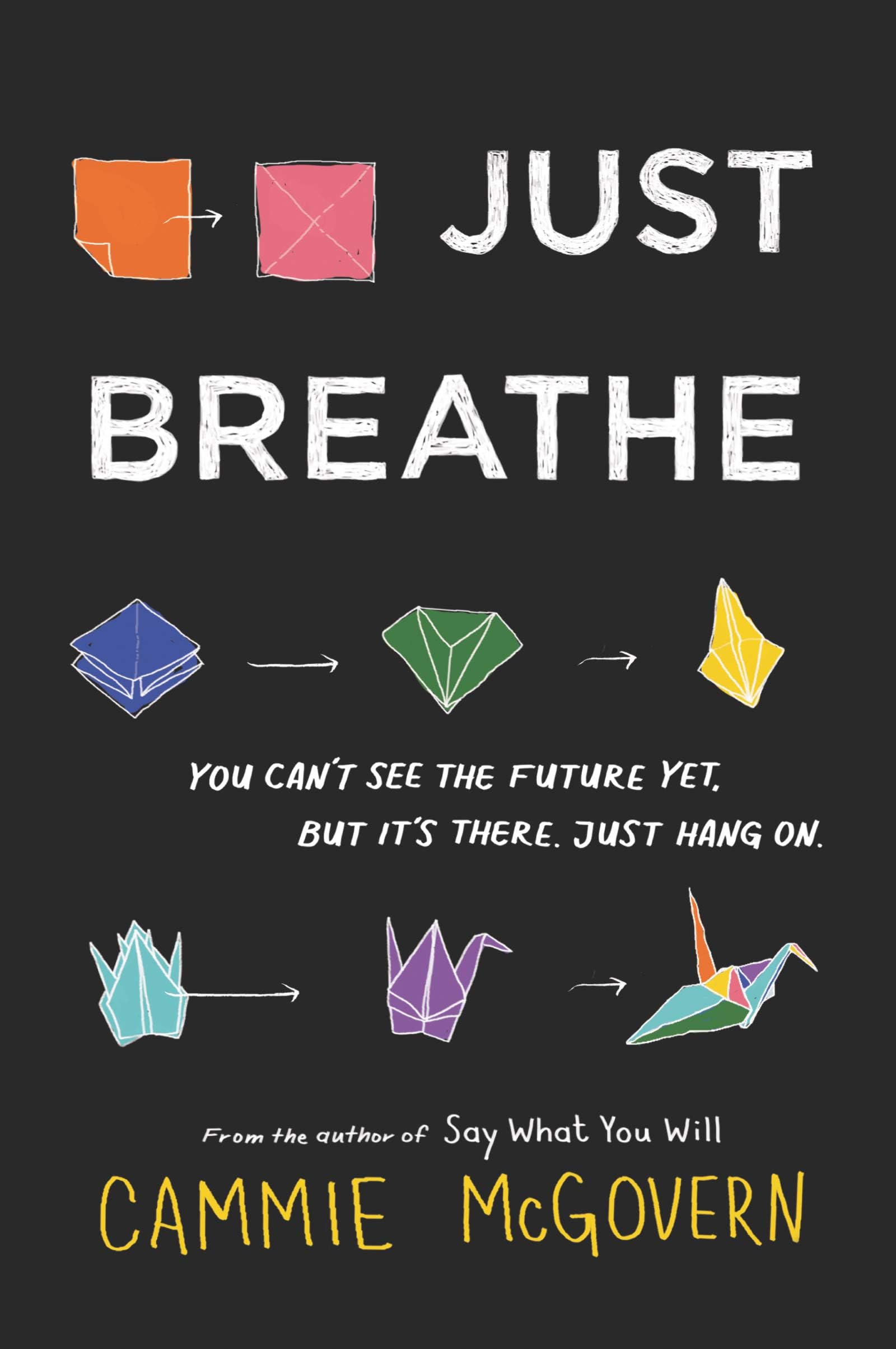 Cammie McGovernJust Breathe