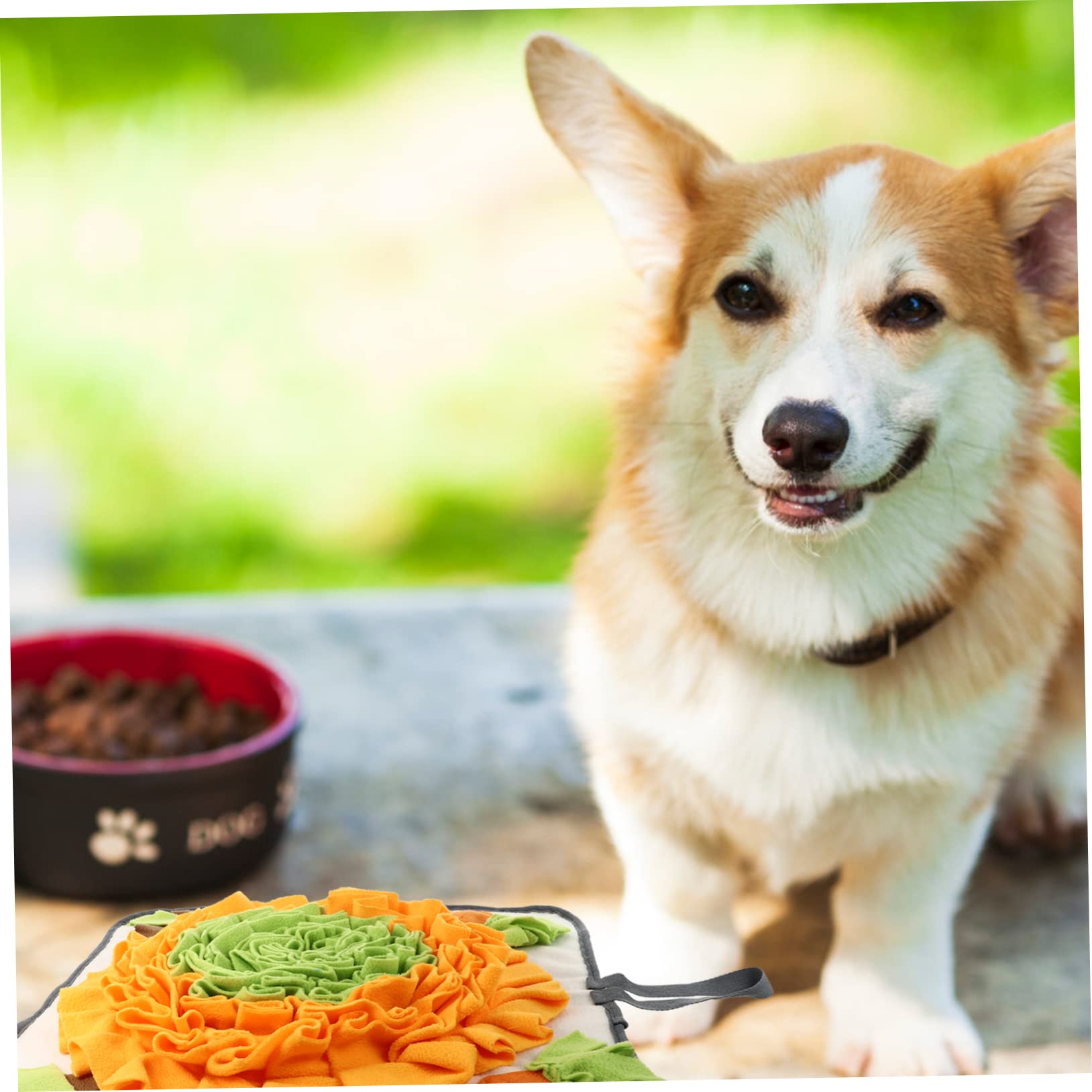 Tappetino Cani Tappetino Lavabile Per Addestramento Giocattolo Interattivo Nascondino Cibo Per Cuccioli E Cani Addestrare L'olfatto