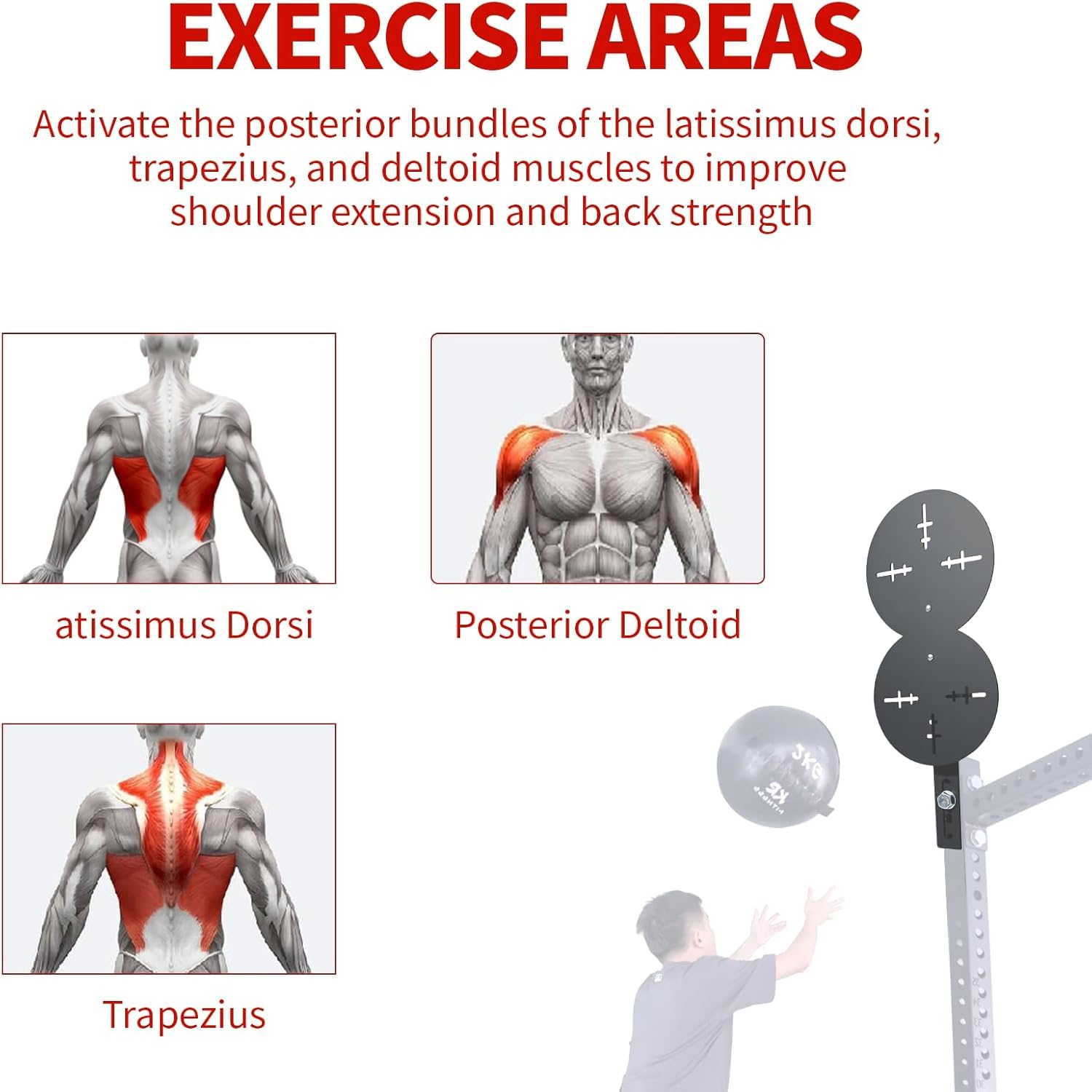 Disco bersaglio per palla medica, doppio bersaglio, per allenare la forza di braccio, bersaglio da parete, accessori per supporto per squat, attrezzi da fitness
