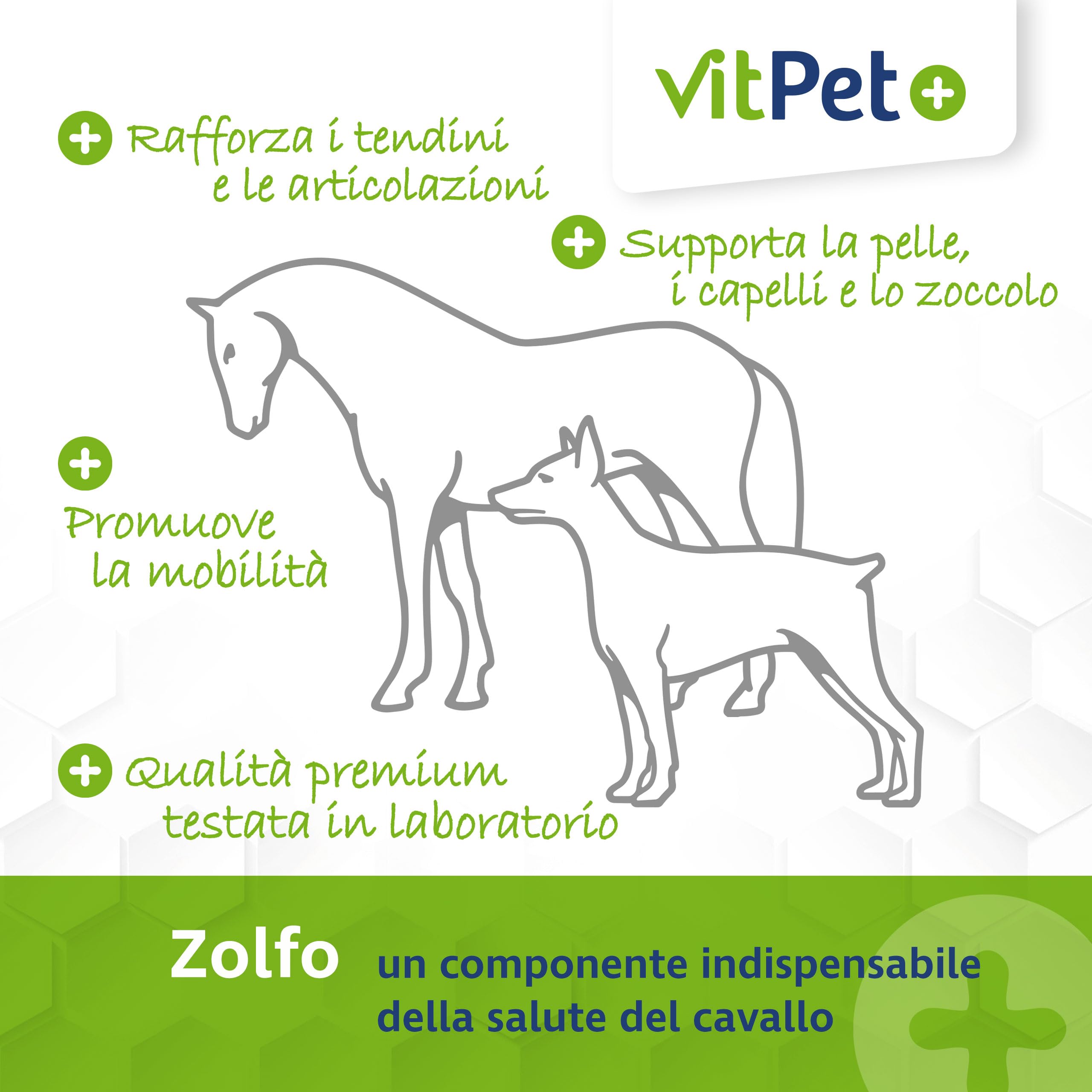 MSM Horse - Polvo MSM Premium para caballos en cubo de 1,8 kg, incluye cuchara dosificadora (polvo de metilsulfonilmetano/azufre para caballos y perros)