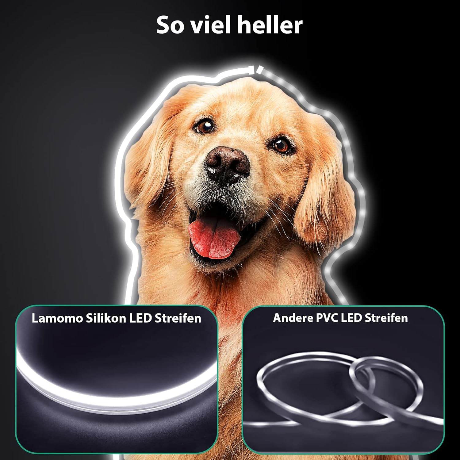 Comparison of Lamomo silicone LED strip vs. traditional PVC LED strip.