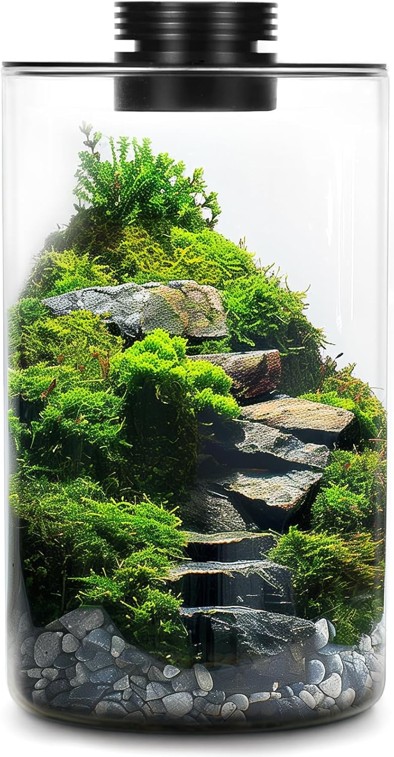 Mini Desktop Glass Terrarium with Grow Light - Succulent Moss Miniature Gardening Landscape, Fish Tank Indoor Plant Growth Office Home Decoration Gift