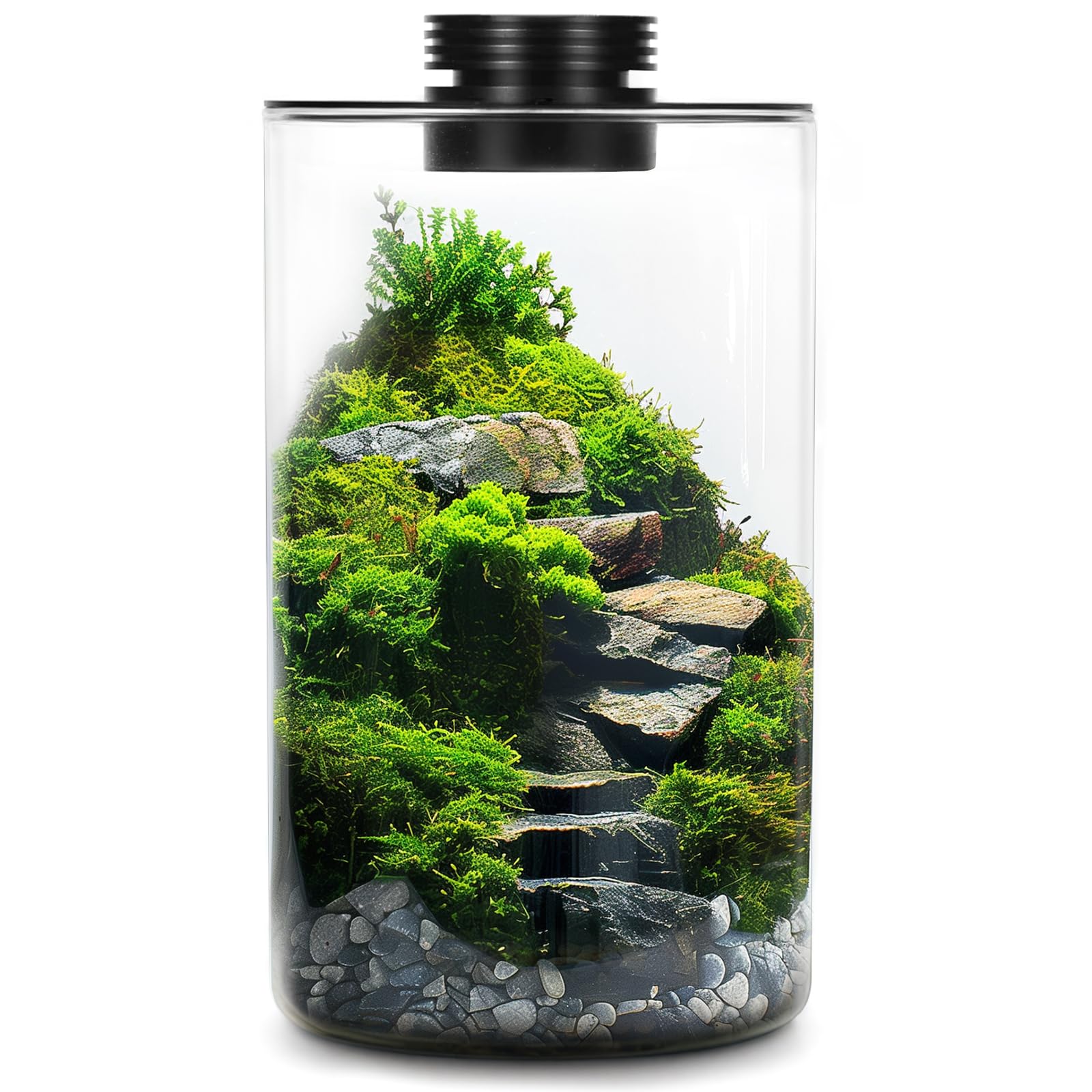Mini Desktop Glass Plant Terrarium with Grow Light - Planter for Succulent Moss Miniature Gardening Landscape, Fish Tank Indoor Plant Growth Office Home Decoration Plant Lovers Gifts
