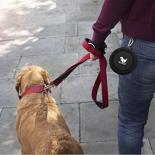 Miniatura 7 de Tazones plegables para perros, para viajes, 2 unidades de fuente de agua portátil para perros, gatos, mascotas, plato de agua plegable para viajar,