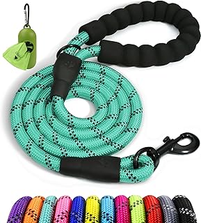 Taglory Rope Dog Leash 5 FT with Comfortable Padded Handle, Highly Reflective Threads Leash for Medium Large Dogs, 1/2 inch, Turquoise