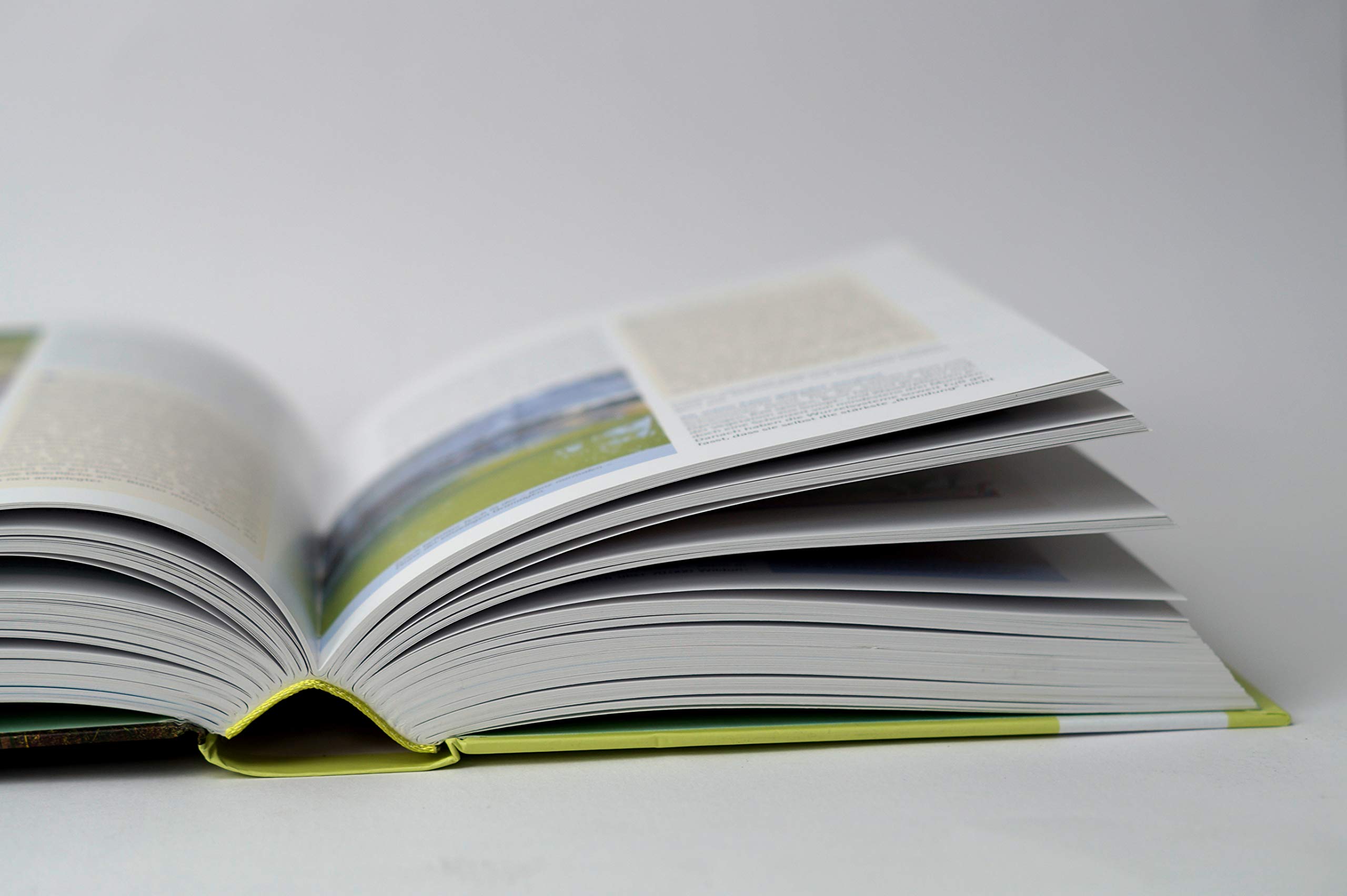 Handbuch Wasser im Garten. Wasser sparen, nachhaltig nutzen, Teiche und Biotope planen und anlegen