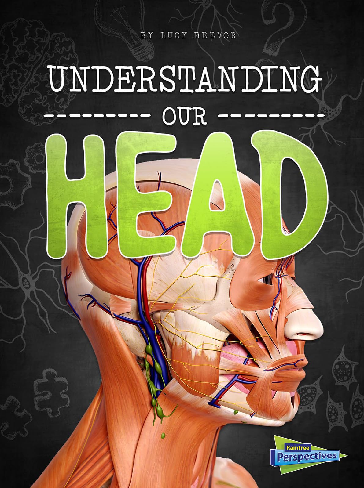 Buy Understanding Our Head (Raintree Perspectives: Brains, Body, Bones!) — BookShops.in