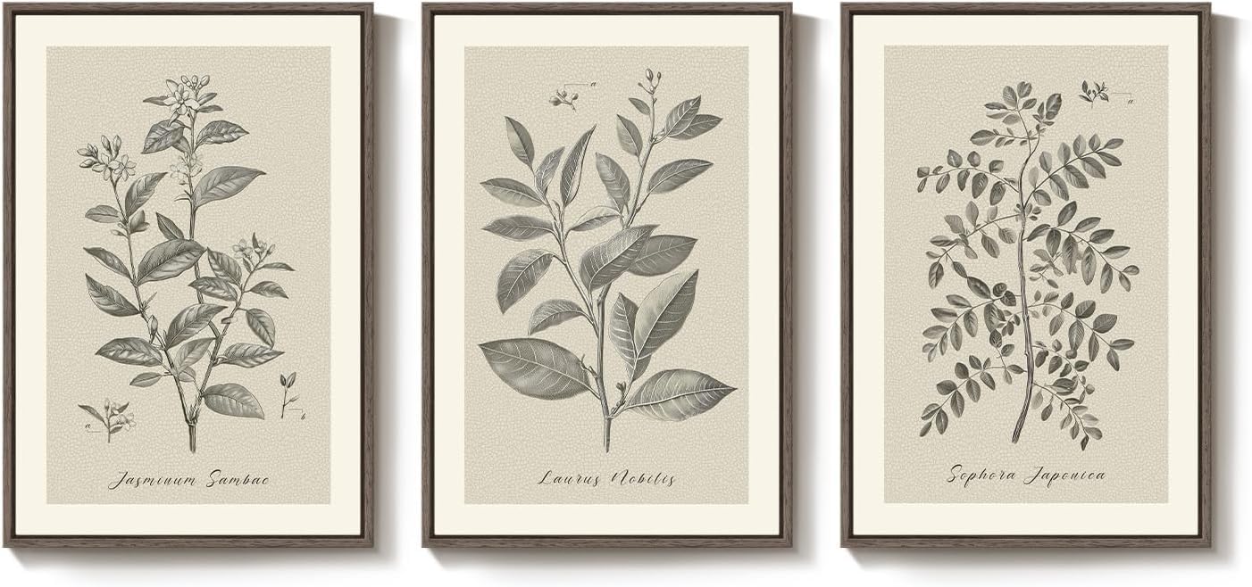 lianyibo Large Vintage Botanical Wall Art 3 Piece Rustic Farmhouse Plant Canvas Painting Prints for Living Room Bedroom Decor(60x90cmx3/Frameless)