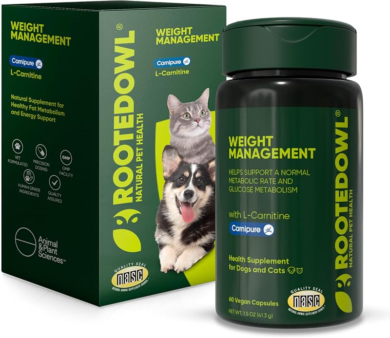 Suplemento de L-Carnitina para Metabolismo, Peso e Energia de Cães e Gatos Rooted Owl — 60 cápsulas