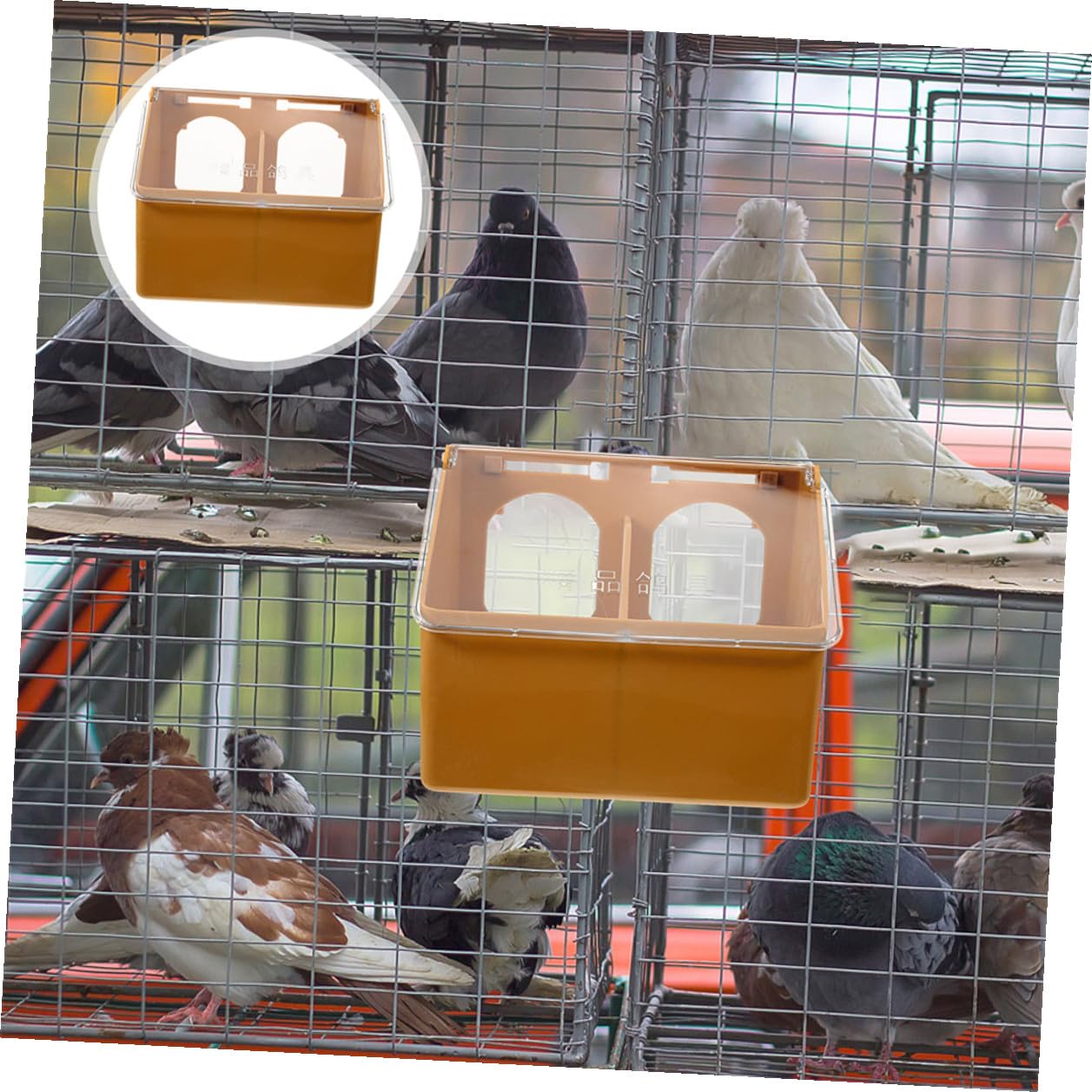 SHINEOFI 3 pièces Boîte Mangeoire à Suspendre pour Perroquets avec Couvercle Distributeur Alimentaire Double Compartiment Plastique pour Cage à Oiseaux Accessoire Pratique Antigaspillage