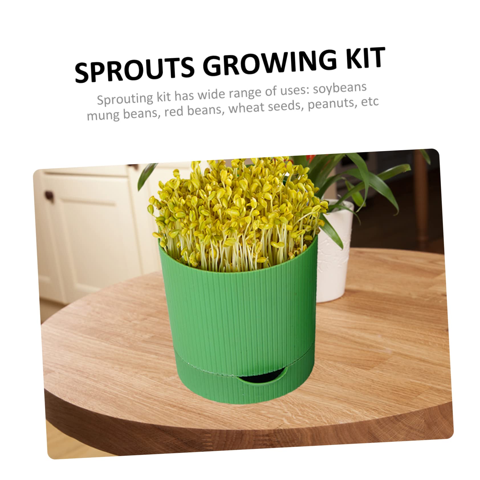 Kit de Culture de Germes de Haricots en PP, Pot de Germination Réutilisable Sortie D’Eau, pour Haricots Mungo et Rouges, Jardin ou Serrage