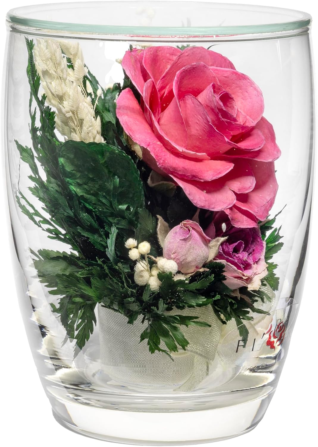 Fiora Flower Preserved Flowers in Glass Vase | Real Long-Lasting Floral Arrangement | No Watering | Home Décor Gift (Ruby Charm)