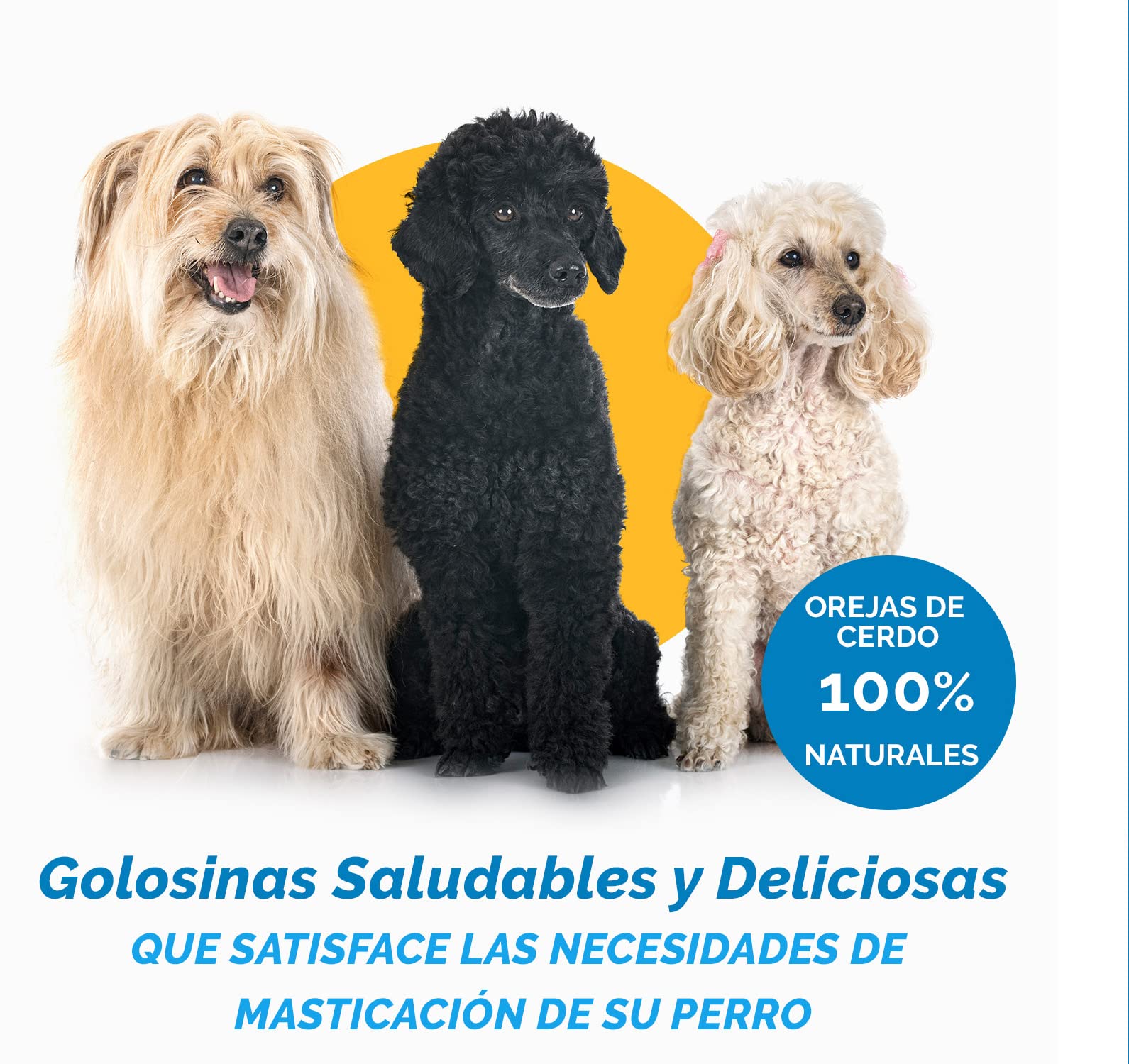 123 Treats Orejas de Cerdo Enteras para Perros masticables - Orejas de Cerdo 100% Naturales golosinas para Perros (100 Unidades)